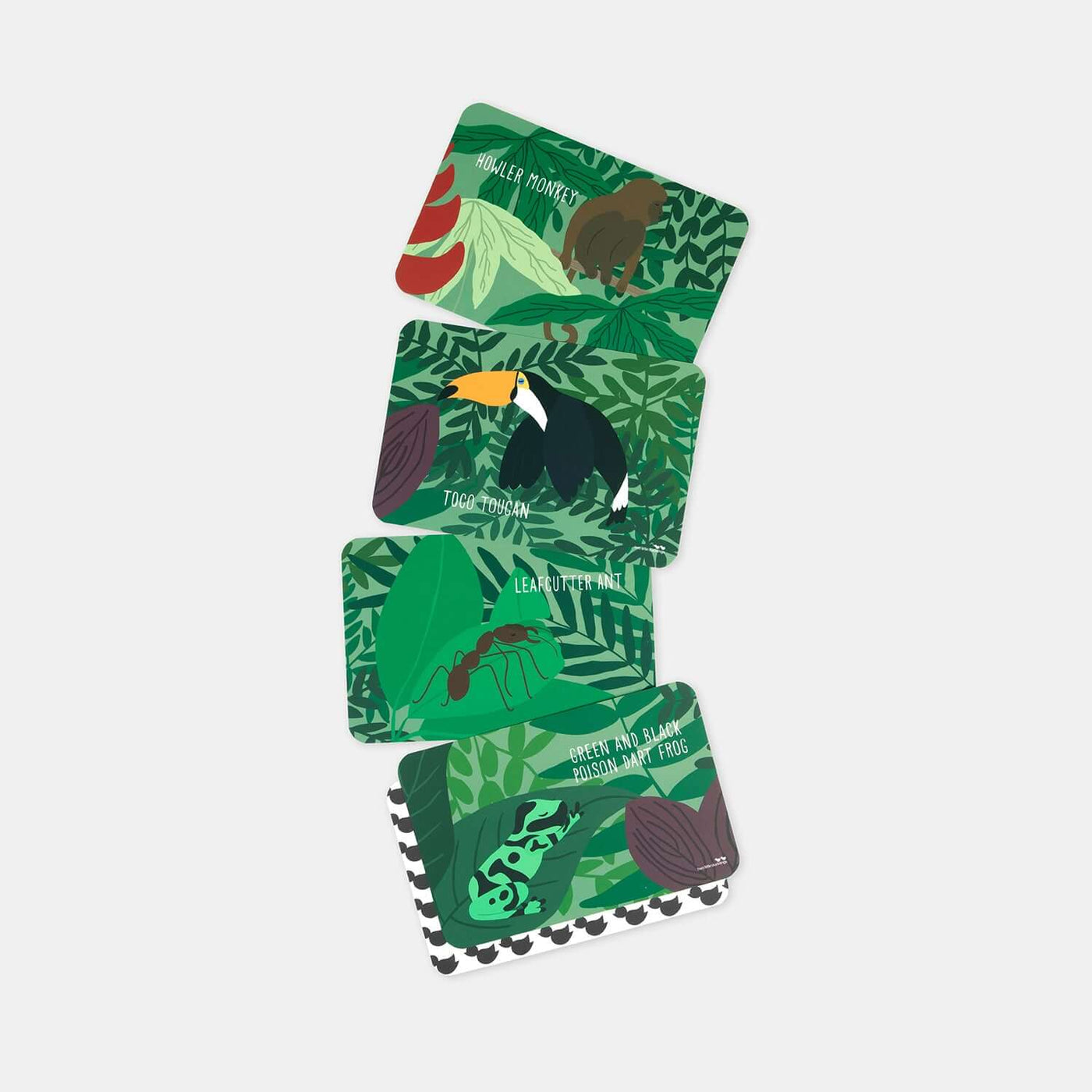 Jungle Adventure Card Game