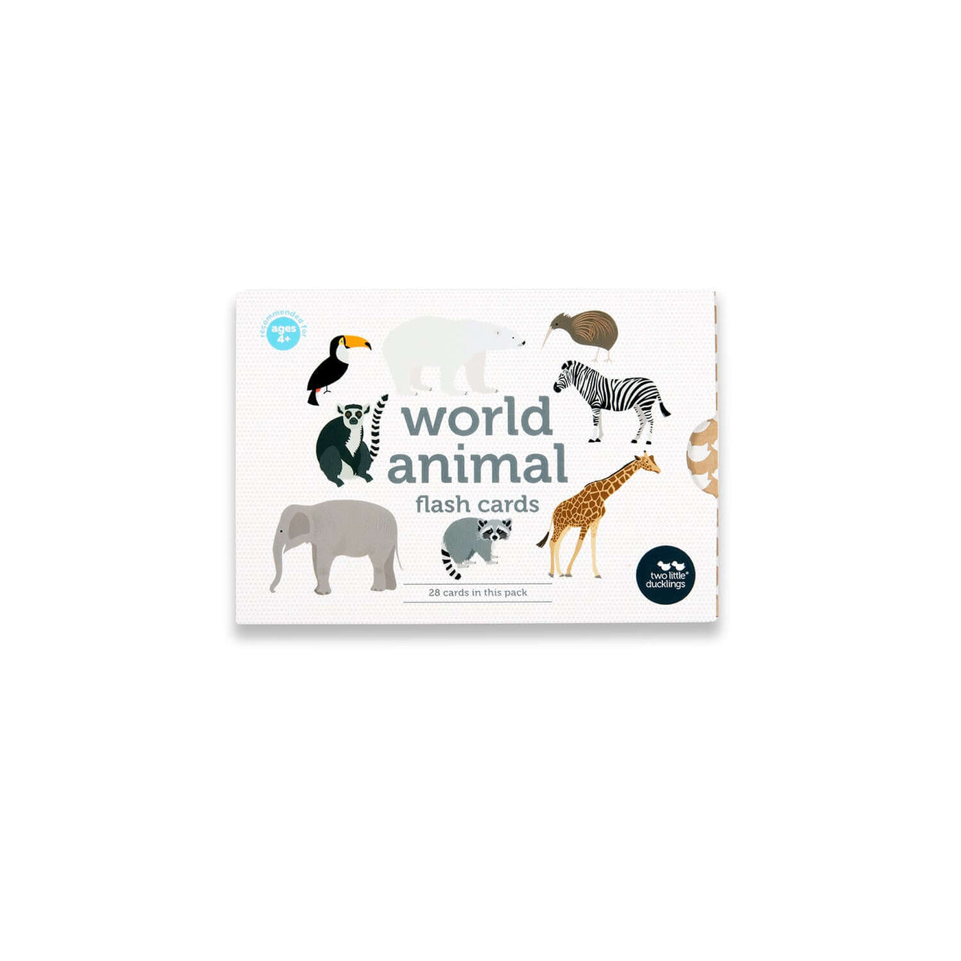World Animal Flash Cards