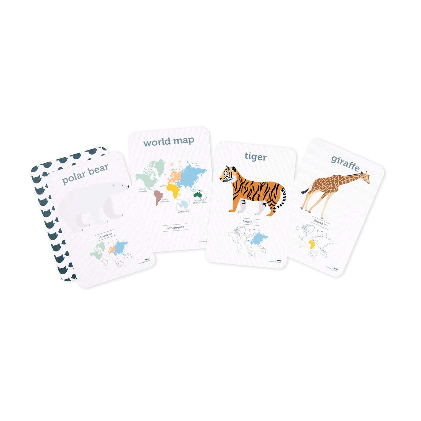 World Animal Flash Cards