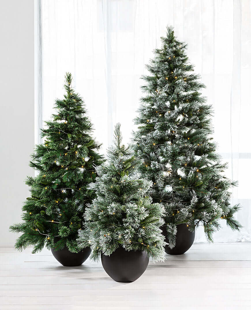 Fir Snow Christmas Tree - Four Sizes